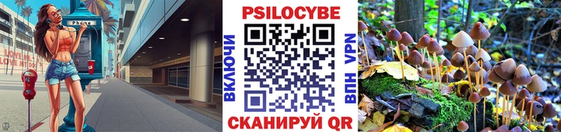 Галлюциногенные грибы Cubensis Купить Шиханы